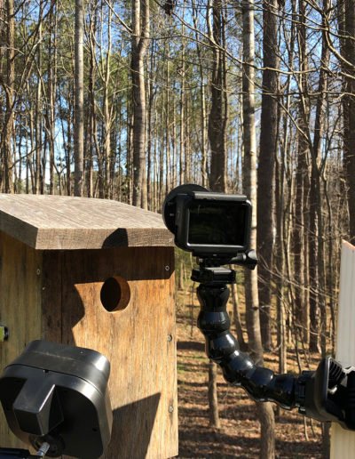 GoPro Hero 7 with Close-up Lens